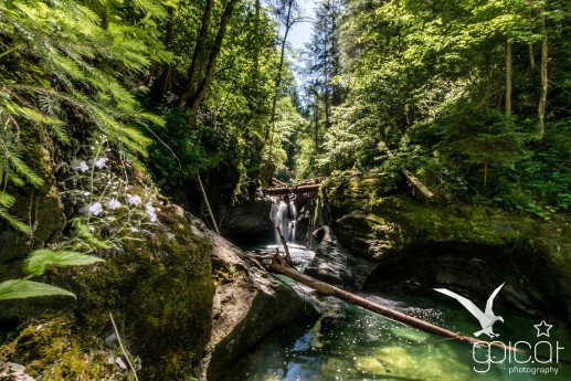 Abkühlung im Bergsommer von Schladming-Dachstein verspricht die Strubschlucht im Naturpark Sölktäler 